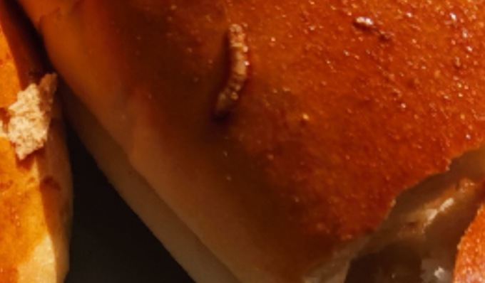 Compra un panino e nella crosta ci trova un verme cotto, denunciato titolare panetteria