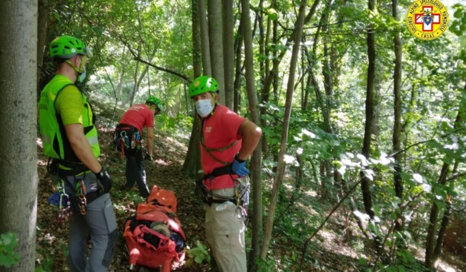 Cercatore di funghi scappa da un branco di cinghiali e cade in un dirupo
