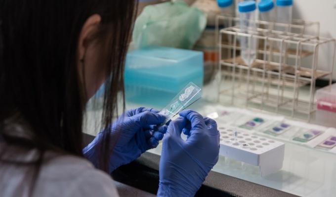 Scoperta dell’Università di Torino: un gel a base di muco animale contro Herpes e HIV