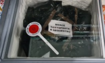 Cibi mal conservati nel minimarket, sequestrati 60 chili di pesce surgelato