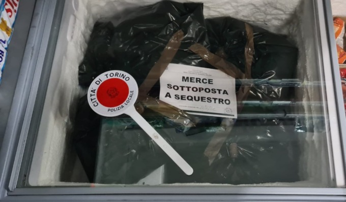 Cibi mal conservati nel minimarket, sequestrati 60 chili di pesce surgelato