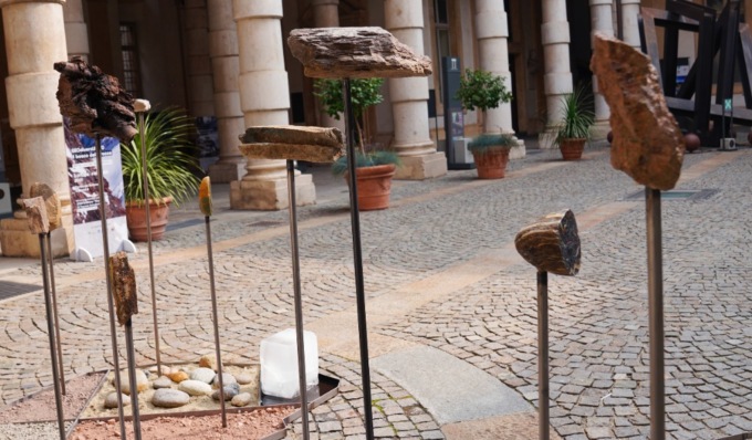 Un bosco nel cuore dell’Università di Torino per scoprire la geodiversità