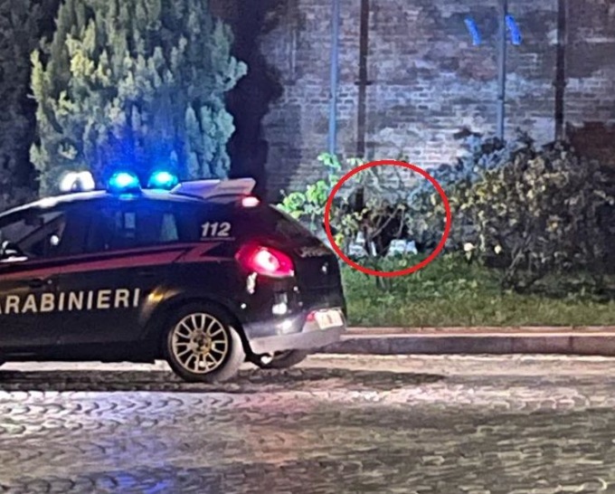 Moncalieri, abbattuto davanti al Castello un cinghiale di medie dimensioni