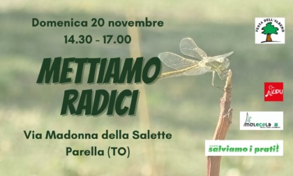 Parella,"Mettiamo le radici": domenica 20 novembre pomeriggio di formazione e divulgazione sul verde