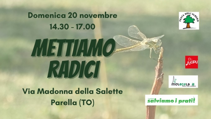 Parella,”Mettiamo le radici”: domenica 20 novembre pomeriggio di formazione e divulgazione sul verde