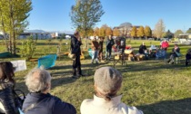 Parella, cittadini riuniti al pratone per celebrare la Giornata Nazionale degli Alberi