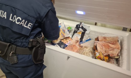 Sequestrati 103 chili di carne mal conservata posti in vendita in una macelleria