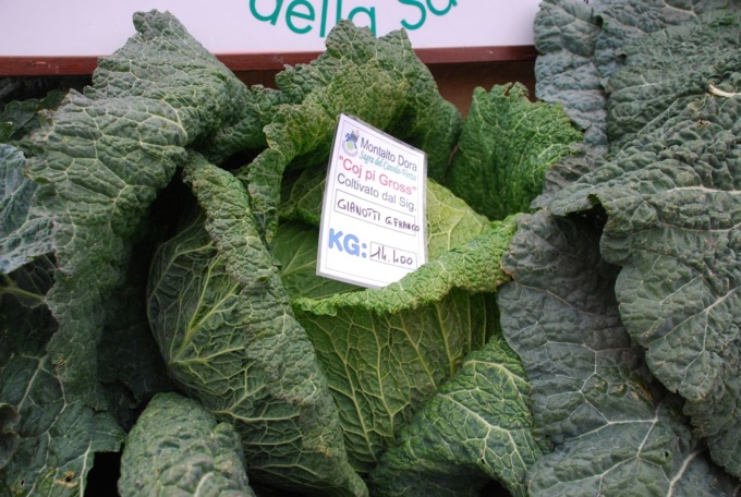 A Montalto Dora torna un appuntamento con la Sagra del Cavolo Verza