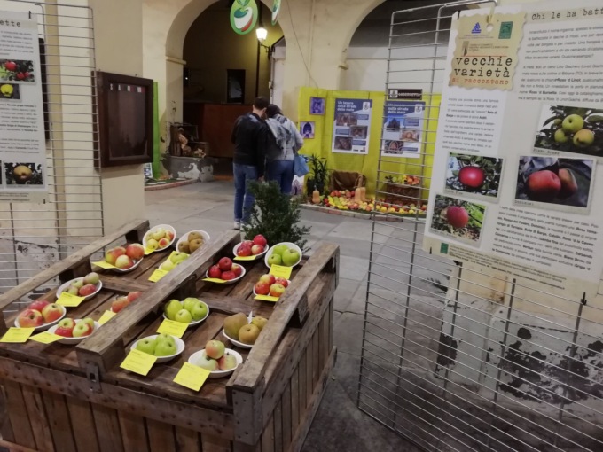 Da sabato 5 a domenica 13 novembre a Cavour ritorna la kermesse frutticola e commerciale di Tuttomele