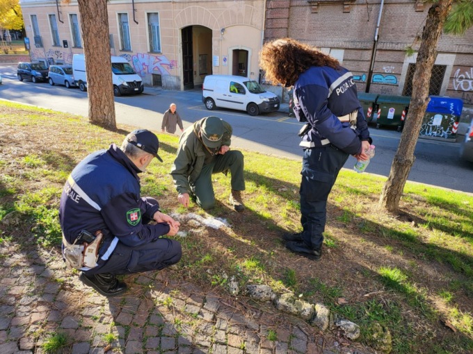 Esche avvelenate contro i cani: controlli serrati anche a Torino