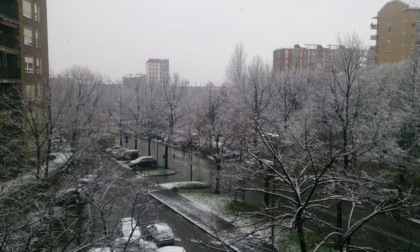 Prima neve di stagione in pianura: imbiancati i tetti di Torino