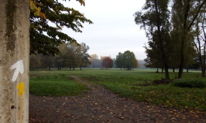 Parco del Meisino, il comitato "Salviamo il Mesino" dice: "Si alla Città dello Sport ma non lì"