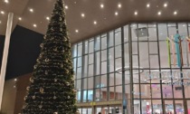 Vandali in azione in tutta Nichelino: danneggiate le porte d'ingresso e l'albero di Natale a Mondo Juve