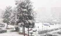 Nevicate in pianura: 12 cm di neve caduti a Torino, 11 ad Asti e 27 a Cuneo