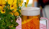 Regione, approvata la legge a sostegno della birra piemontese