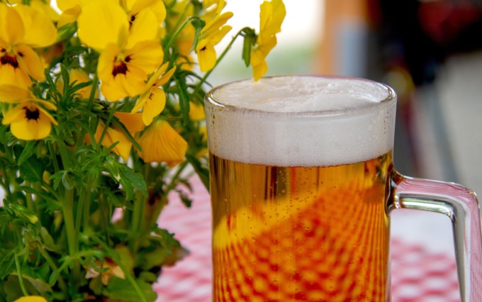Regione, approvata la legge a sostegno della birra piemontese