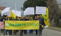 Coldiretti: "Stop coinceneritore di Frossasco, adesso ripartiamo dalle produzioni agricole locali"