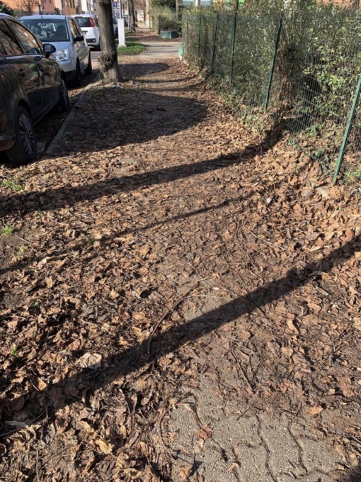 Degrado urbano, marciapiedi sporchi e rotti in via Roma a Nichelino