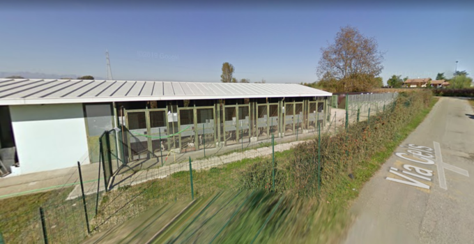 Blitz dei Nas al canile di Carmagnola: sequestrati diversi medicinali scaduti