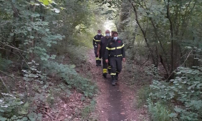 Trova un cadavere decomposto mentre scatta fotografie in un bosco