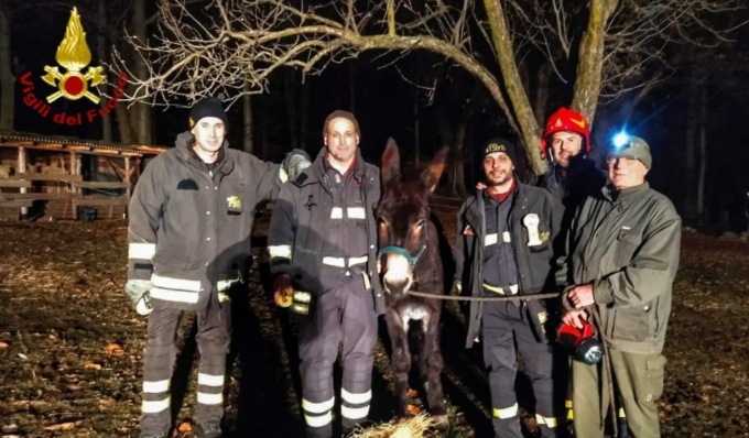 L’asina Elvira cade su un pendio e rimane bloccata vicino a uno strapiombo