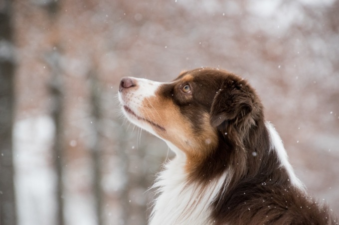 Peggiora il tempo, in arrivo freddo e qualche nevicata (anche a bassa quota)