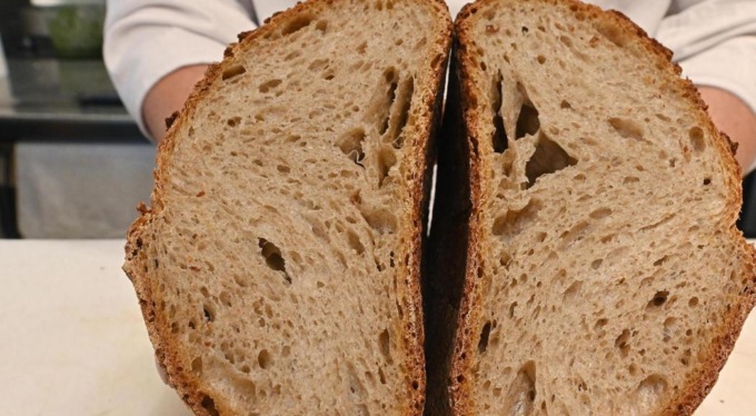 Farine con insetti, Coldiretti: “Torino non deve dimenticare il principio di precauzione”