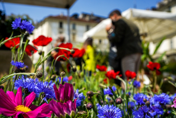 Cosa fare a Torino e provincia: gli eventi del weekend (25 – 26 febbraio 2023)