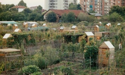 Il progetto torinese "Orti generali" premiato a Roma dal Ministero dei Beni Culturali