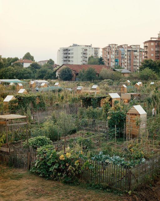 Il progetto torinese “Orti generali” premiato a Roma dal Ministero dei Beni Culturali