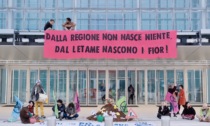 "Siamo ancora nella m****a": Extinction Rebellion scarica quintali di Letame al grattacielo della Regione