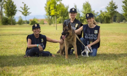 Aperte le iscrizioni al corso di formazione per guardie zoofile dell'Oipa