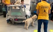 Miracoli della Pet therapy tra i piccoli pazienti della Neuropsichiatria Infantile dell'ospedale Regina Margherita