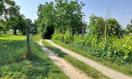La Città aderisce al progetto “PISTAAA!-La Blue Way Piemontese”