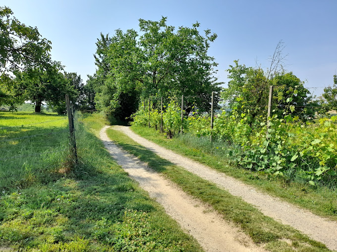 La Città aderisce al progetto “PISTAAA!-La Blue Way Piemontese”