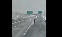 Il video dei due giovani in monopattino sulla Torino-Bardonecchia durante una nevicata