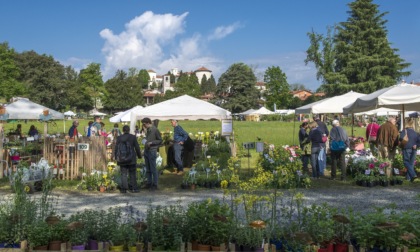 Torna per la trentunesima edizione primaverile la mostra mercato “Tre giorni per il giardino” al Castello e Parco di Masino