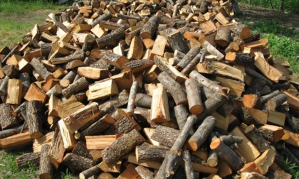 Hai bisogno di legna da ardere? Scopri come reperirla