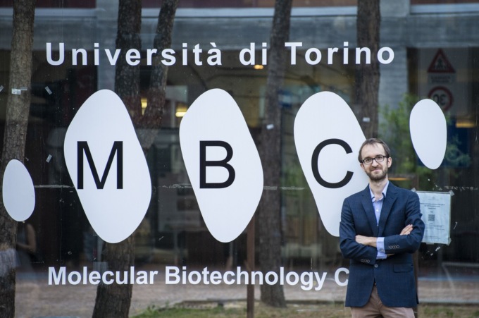 Lo studio internazionale di UniTo: cellule staminali ingegnerizzate per riparare i cuori infartuati