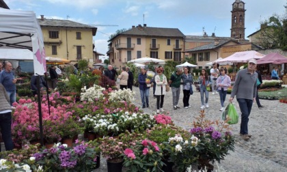 "Cavour in fiore" il 6 e 7 maggio ai piedi della Rocca