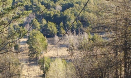 Incendio nella Riserva naturale del Lago Borello: oggi il sopralluogo per constatare i danni