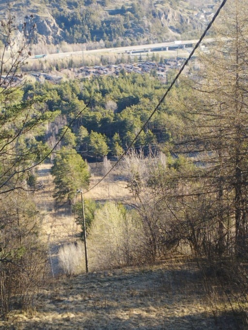 Incendio nella Riserva naturale del Lago Borello: oggi il sopralluogo per constatare i danni