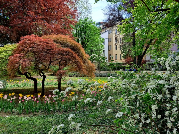 Torna dal 22 al 30 aprile il Torino Jazz Festival nel giardino di Palazzo Cisterna