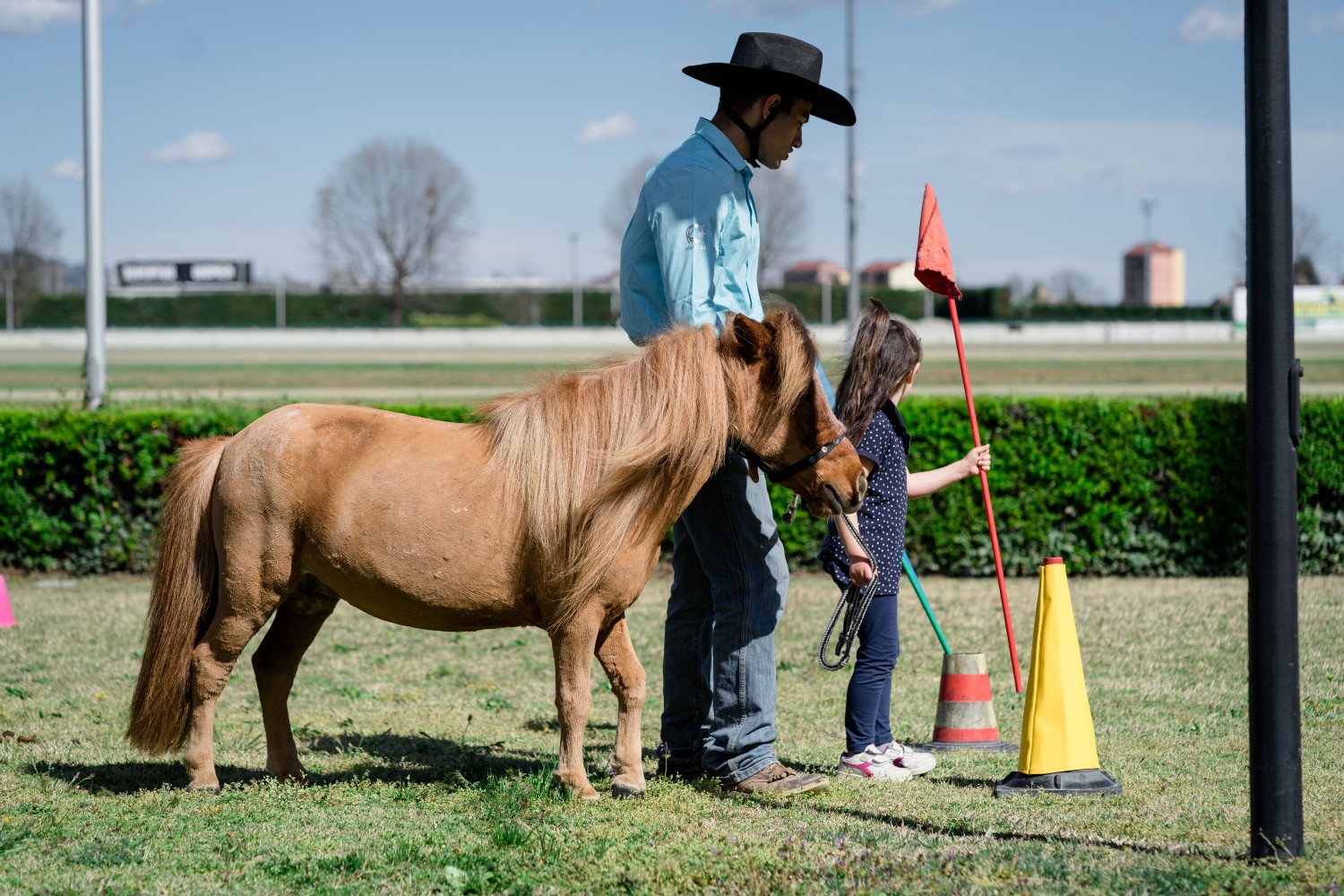 Pony Golia