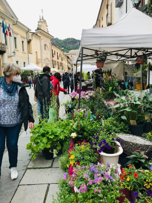Torna domenica 14 maggio il mercatino di Agriflor nel centro di Susa