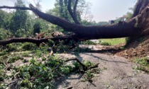 Primo bilancio dopo la bomba d'acqua che ha devastato il Basso Canavese