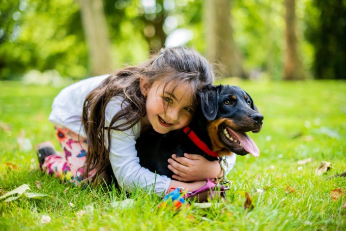 Chieri città Pet Friendly: approvato dal Consiglio comunale il Regolamento per la tutela del benessere animale