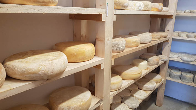 Moncalieri, entra nei negozi e rivende (in nero) a prezzi vantaggiosi il formaggio del supermercato