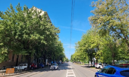 Alberi di corso Belgio, dopo la protesta il Comune cambia idea