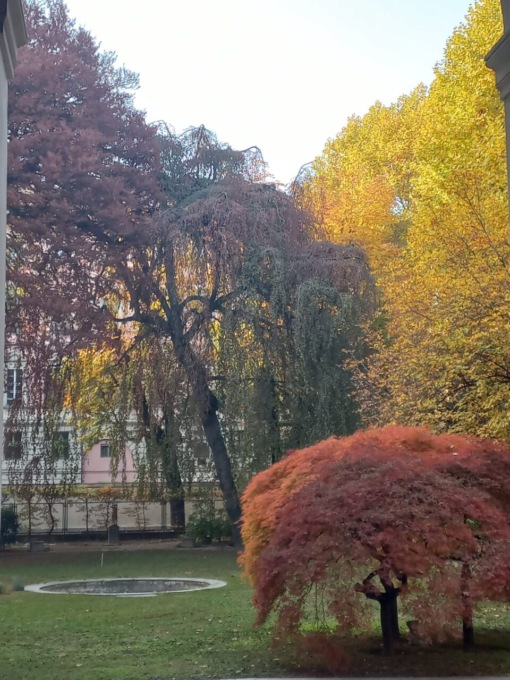 Chiusura temporanea del giardino di palazzo Cisterna per permettere l’abbattimento di un grande faggio